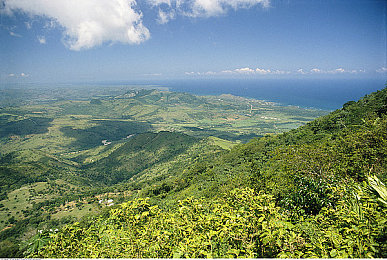 国产精品乱伦:血脉暗涌,权谋交织的家族史诗篇章-2