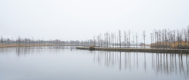 天天操天天舔天天干:极致车感沉浸体验,《极限驾驶模拟器》专业攻略助你征服赛道-2