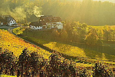 国产成人传媒：驰骋人生，方向盘上的时代悲欢-1