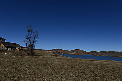 带老婆和男大学生3p：《极限竞速地平线5》推出三人车队模式，跨代玩家组队重塑合作竞速体验