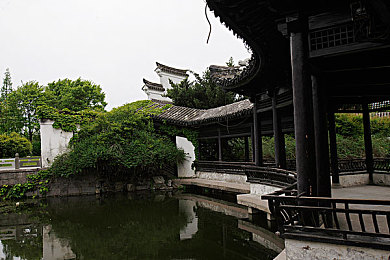 亚洲一区二区日韩:霓虹弯道,极速镜像,东亚都市竞速诗篇-1