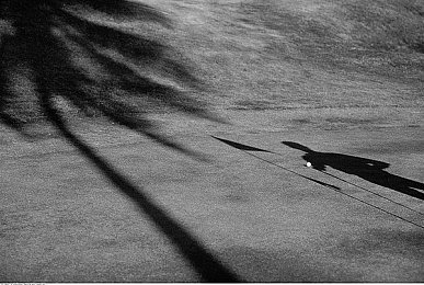 亚洲综合一区2区：穿越都市雨夜，征服融合赛道竞速新体验-2