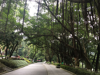 国产成人91：极速崛起，中国制造赛车游戏展现工业文化新赛道