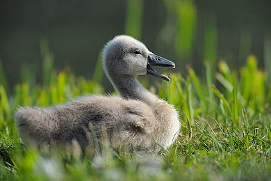“色多多”：光谱幻境，策略竞速的视觉交响诗-2