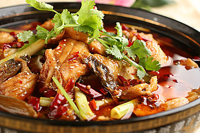 火影18成人：疾风赛道，忍车合一，竞速传奇