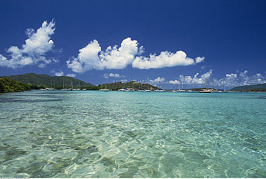 黄色软件app下载华为：极速风暴，指尖驰骋未来赛道新纪元-2