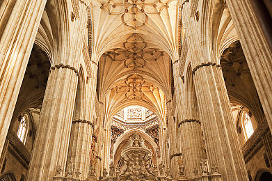 十大黄色软件oppo：极速风暴，赛道幻境，移动竞速新纪元之旅