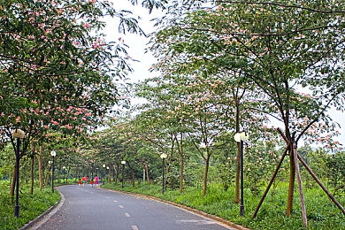 CF尚香坐钢筋⊥视频免费：机甲女将携工业武装，潜入暗影决胜战场-2