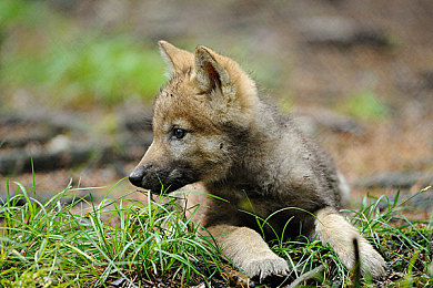 三上悠亚在办公室被躁：极速办公新游上线，办公室赛道狂飙颠覆竞速体验-2