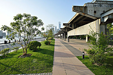 天天干天天撸：极限竞速地平线，每日驰骋在墨西哥的开放世界赛道