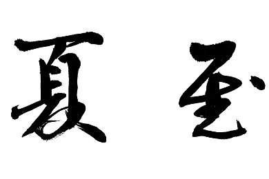 黄色免费软件3.0.3：数据赛道狂飙，破解极速新纪元