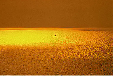 国产AV大：《极速都市：复兴》深度评测，国产赛车新作以真实物理与开放世界赢得赞誉