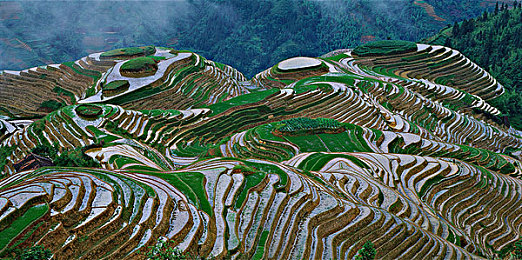 av伦理网站：极速都市，道德迷途，霓虹赛道上的灵魂抉择-2