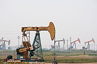 亚洲一区亚洲二区亚洲三区：霓虹雨林与沙海，疾驰大陆的东方画卷-3