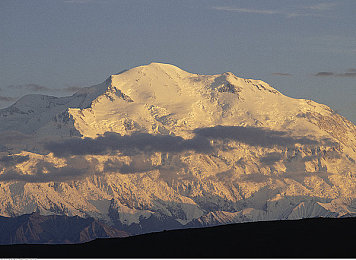 黄色每天更新两部oppo：极速对决双车战术革新，每日养成策略决胜赛道