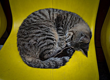 粉色苏州晶体。：霓虹赛道穿梭未来园林，晶体能量驾驭极速诗篇-2