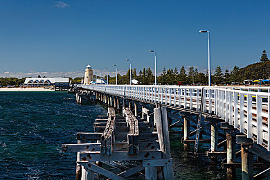 国内剧情av：霓虹街道疾驰，命运方向盘由你掌控