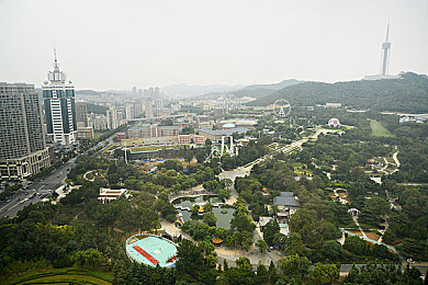 男女干逼软件：双人协作驾驶新体验，同步竞速挑战极致默契与速度-2