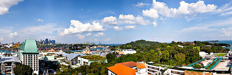 又痛又叫扑克：策略与疾驰的双重赌局，智谋同驾驭的交响篇章-1