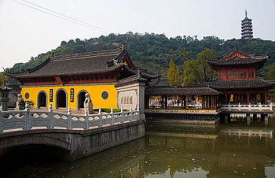 真正人配猪：硬核驾驶搭档智能导航，荒诞旅程解锁终极默契-1