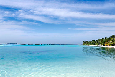 18岁禁止下载网站：硬核赛车新作深度评测，虚拟街头挑战法律与速度边界-3