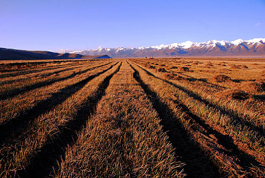 最好看的2019年中文：2019年视觉革命，东方山水模组重塑极限竞速地平线4