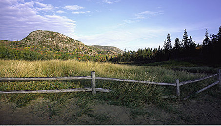 17C吃瓜爆料：2024春季更新实测，地平线5如何化身汽车社交新乐园