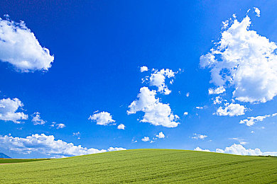 男人和女人一起差差差app：双人协同竞速新作极速搭档，用默契弥合差异共创极速