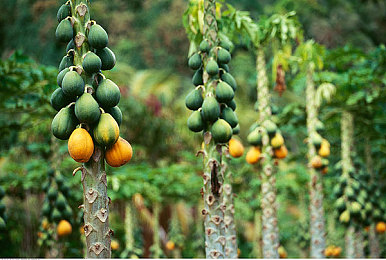 未满18岁禁止进入：霓虹雨夜，非法引擎的成年法则与代价-4