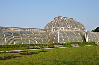 3.03免费OPPO版破解大全直接进入：极速狂飙，在真实赛道解锁你的冠军生涯-3