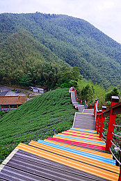 14岁初中生张婉莹暑假作业在哪看：虚拟寻宝新热潮，地平线5隐藏彩蛋等你来挑战-2