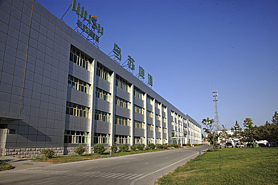 日本韩国一区:极速霓虹,双城交锋,东亚竞速艺术之魂-2