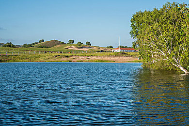 九九九蜜桃：霓虹街头狂飙，速度与道德的终极陷阱-2