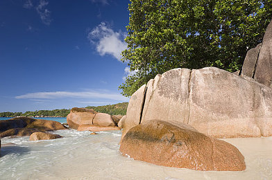 好_色_先_生丅V：当色彩成为赛道武器，极速狂飙引爆视觉革命-3