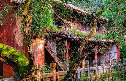 十大黄台禁用：极限竞速地平线，规避驾驶误区指南