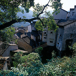 日本人打扑克又叫又痛：竞速卡牌新作引爆日本，策略失误的痛感与逆袭快感如何并存