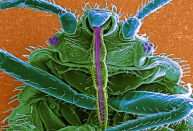 男生和女生一起差差差的app下载:双人共舞,极速协奏,默契竞速新纪元-2