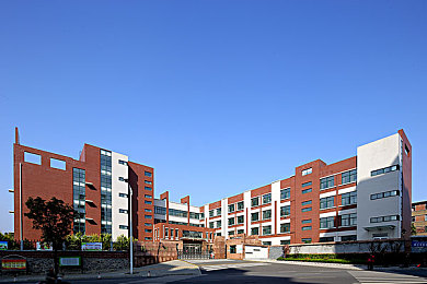 男人把坤坤放到女人的坤坤里：《极速狂飙》全新双人道具协作系统上线，硬核玩法引爆竞速圈-2