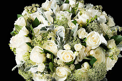 男生和女生一起羞羞羞app：双人默契驾驶新体验，心动竞速开启合作竞速新篇章