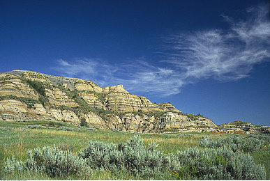 亭亭玉立国色天香大结局：风华绝代东方之旅最终章上线，水墨竞速重塑开放世界-1