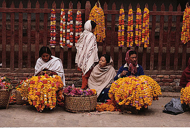 女生～你TM别舔了：松开刹车，让弯道成为你的加速带-2