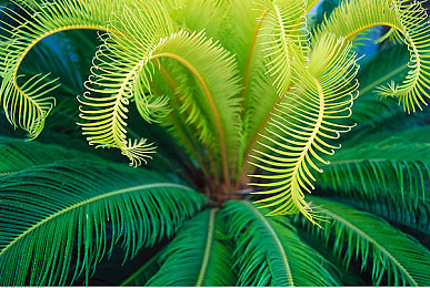 黄台404网站：极速404今日上线，在数字废墟中体验赛车与解谜的全新竞速之旅