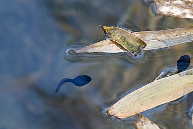 国产亚洲a：东方极速，霓虹赛道上的工业诗篇