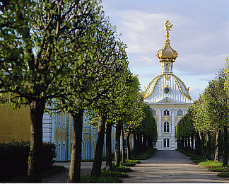 黄 色下载：追逐墨西哥落日余晖，地平线5黄金时刻竞速攻略