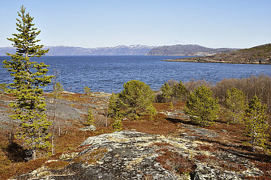 世上最不1-3人纪录片：开放世界赛车新纪元，极限竞速地平线打造全民汽车文化史诗-2