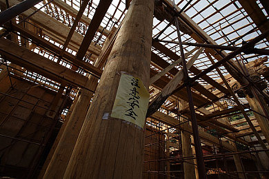 黄色软件3.：霓虹深渊中的非法引擎，代码与速度的叛逆协奏曲