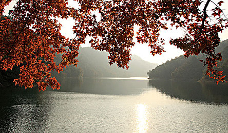 啊你tm别添了:当队友的善意成为赛道上最棘手的弯道-2