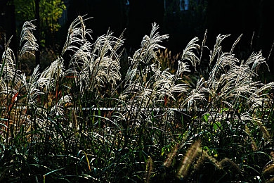17c黑料爆料18：内部文档揭秘，两大竞速巨头技术暗战如何重塑游戏体验