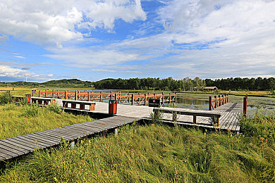 台湾佬综合娱乐网：极限竞速地平线5进阶指南，征服墨西哥赛道的完整攻略