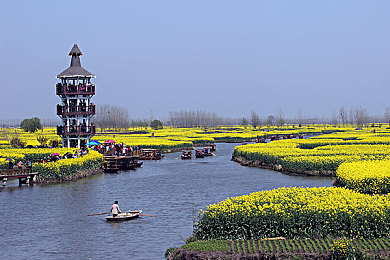 男生和女生一起插插插：双人协同改装新游上线，竞速改造师今日开启公测-2